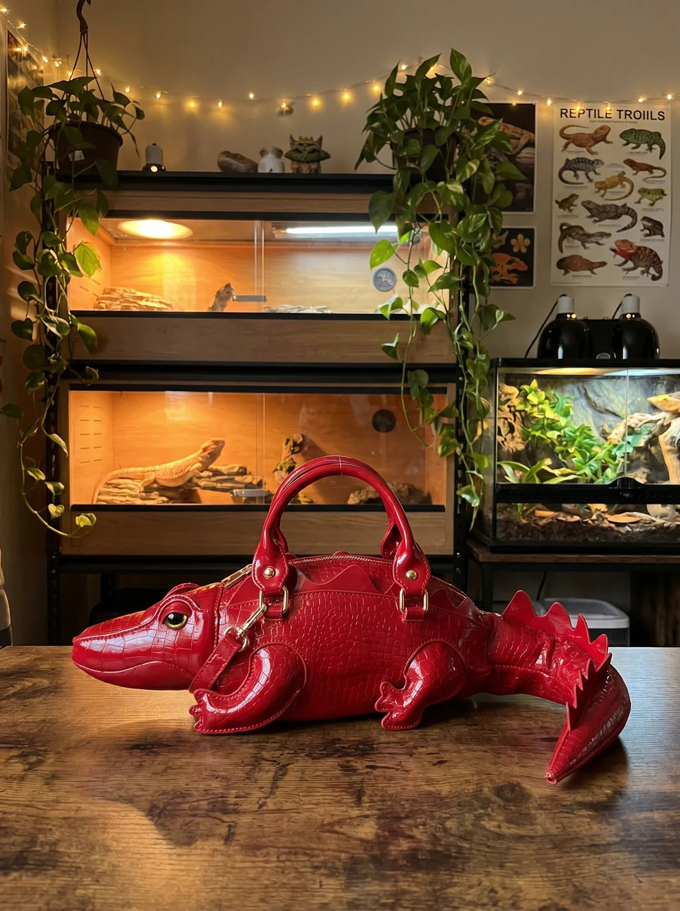 Nia's Croc-Shaped Bags